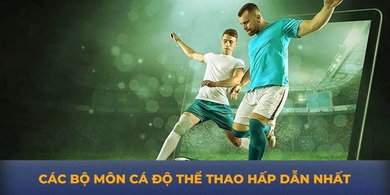 Các bộ môn cá độ thể thao hấp dẫn nhất