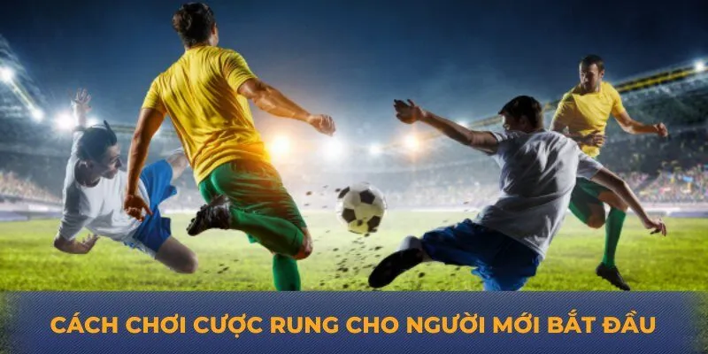 Cách chơi cược rung cho người mới bắt đầu