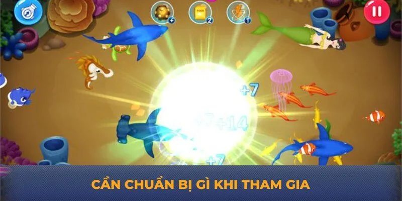 Cần chuẩn bị gì khi tham gia
