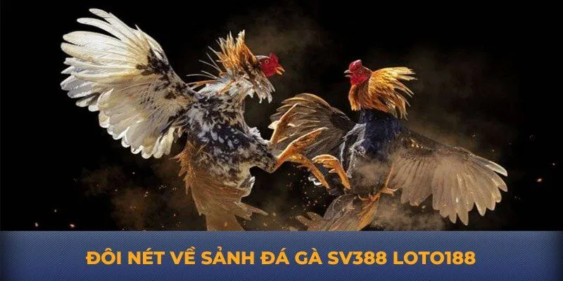 Đôi nét về sảnh đá gà SV388 Loto188