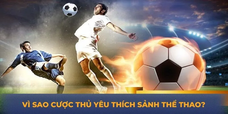 Vì sao cược thủ yêu thích sảnh thể thao?